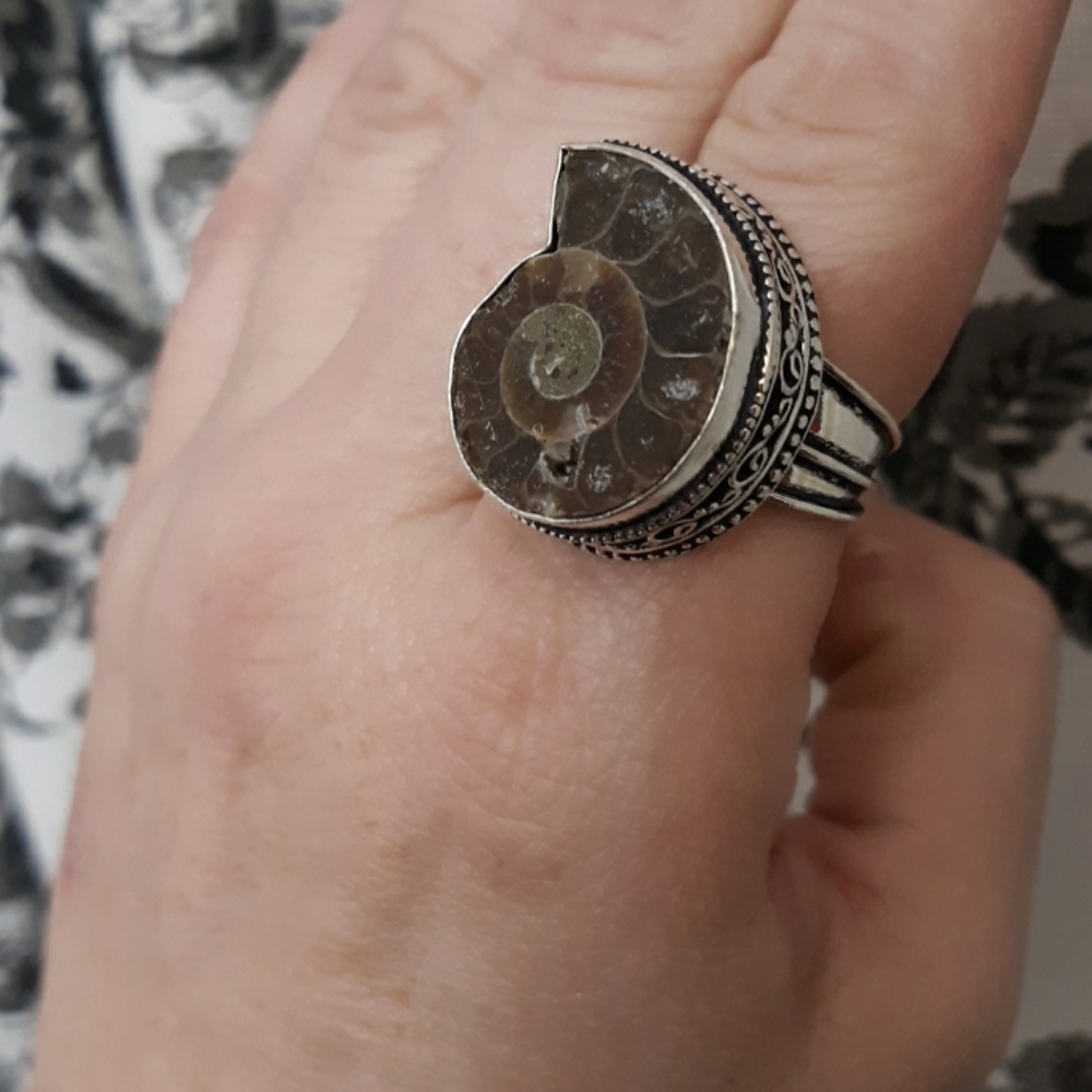 New Ammonite Fossil 925 Silver Ring.